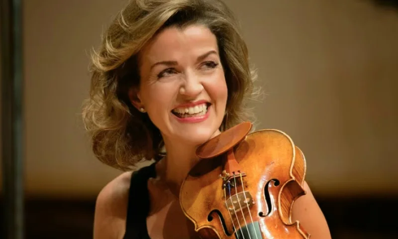 arabella wunderlich beruf